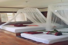 Banana Resort