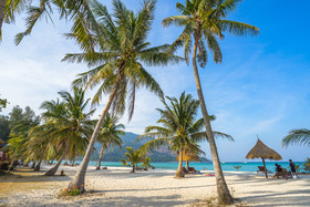 Andaman Resort