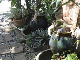 Bangyai Buri Resort