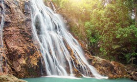 Marasca Samui