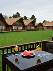 Rice Farm Villa