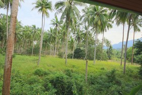 Tropical Season Villa Resort