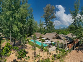 The Pines