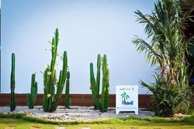 The Pp.Beach Thasala