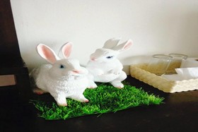 Cozy Rabbit Hotel