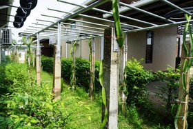 Phumipat Resort Thungsong