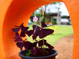 Rimnatee Resort Trang