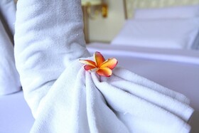 Wattana Park Hotel