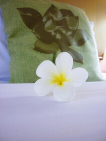 Wattana Park Hotel