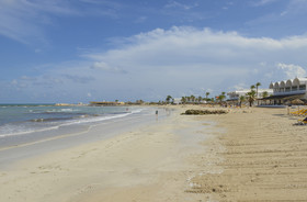 Monarque Dar Jerba Narjes