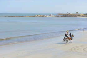 Monarque Dar Jerba Narjes