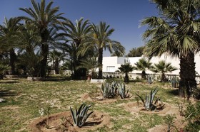 Monarque Dar Jerba Zahra