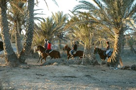 Djerba Castille