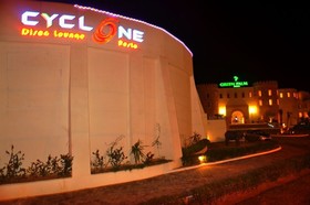 Green Palm