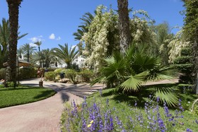 Djerba Resort