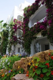 Djerba Resort