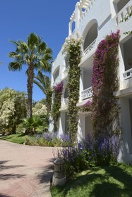 Djerba Resort
