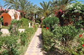 Club Oasis Marine