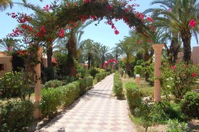 Club Oasis Marine