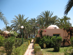 Club Oasis Marine