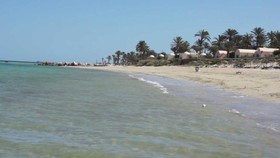 Club Oasis Marine
