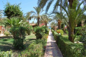 Club Oasis Marine