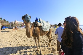 Hammamet Garden Resort & Spa