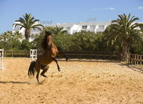 Le Sultan