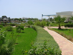 Cyclamens Mechmoum Hotel