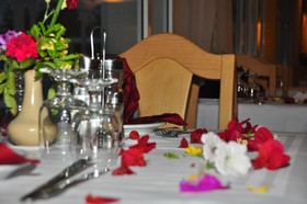 Cyclamens Mechmoum Hotel