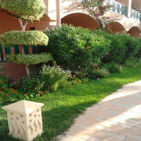Marabout