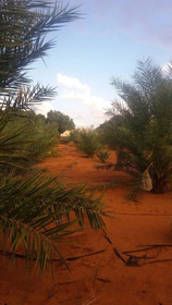L'Oasis