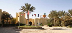 Sun Palm Douz