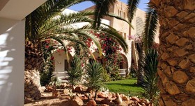 Sun Palm Douz