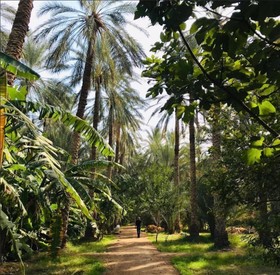 Dar Horchani
