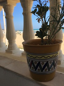 Dar El-Màa
