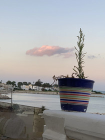 Dar El-Màa