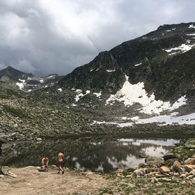 Tepedebiyer Restoran & Bungalov