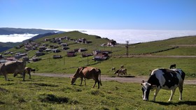 Migroras Otel & Restaurant - Karestel Yaylasi
