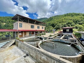 Yesilalan Hotel Caykara