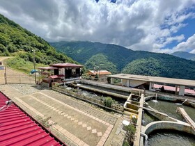 Yesilalan Hotel Caykara