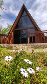 Engreens Suit Bungalov