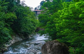 Hakoni House