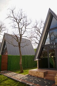 Pop Suit Bungalow