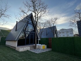 Pop Suit Bungalow
