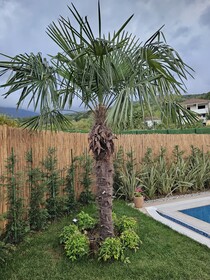 Teona Kartepe Bungalov