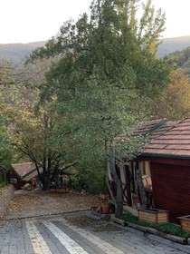 The Canyon Hotel & Resort