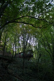 The Canyon Hotel & Resort