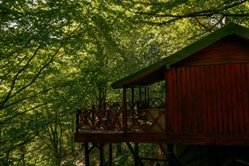 The Canyon Hotel & Resort