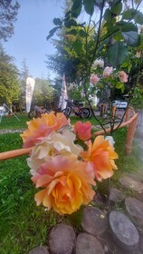 Tumba Sisli Vadi